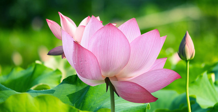 中国传统文化融入公司发展：个人学习心得与公司创新探索