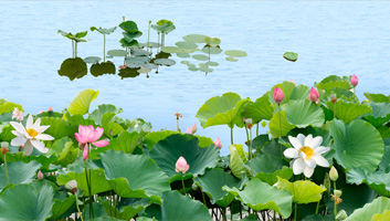 自然景观 一方文脉 山水风光文化